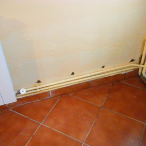 Decorpaint pinturas y tatamientos de humedades en Ávila